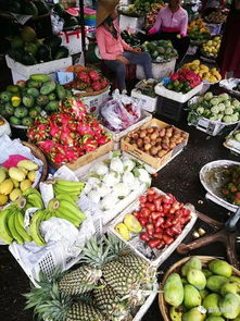 為情人而來，卻被美食圈了粉 各式水果的舌尖奇遇