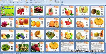 趣味探索 美味的水果與奇妙的無脊椎動物